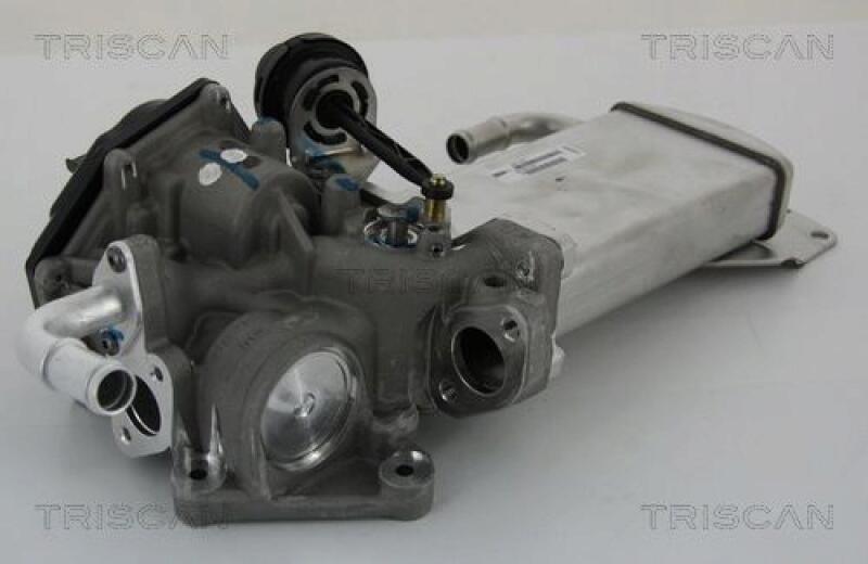 TRISCAN EGR Valve