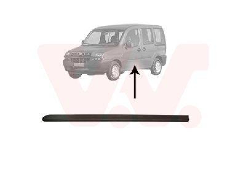 VAN WEZEL Trim/Protective Strip, door