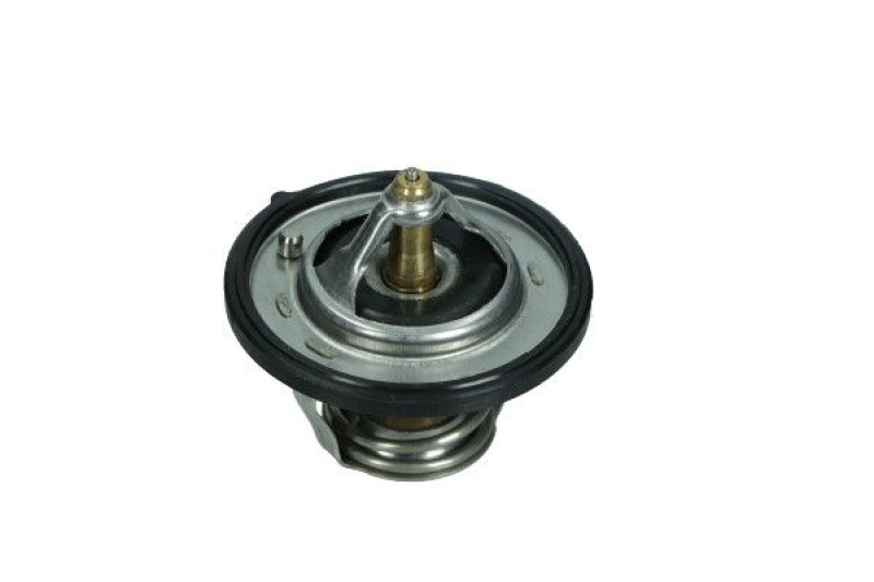 MAXGEAR Thermostat, coolant