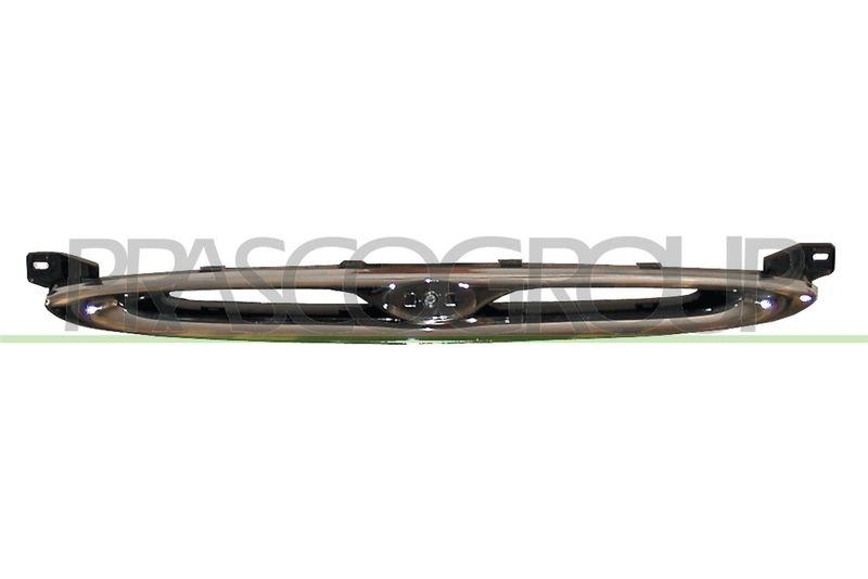 Radiator Grille