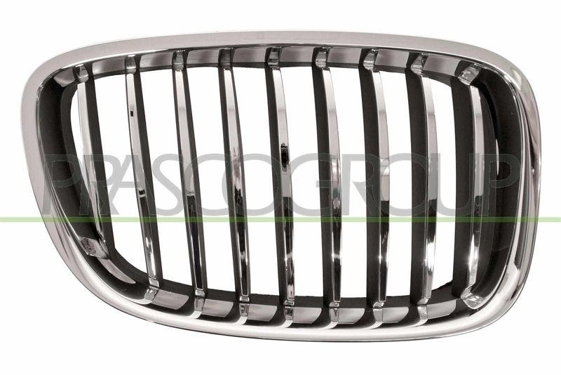 Radiator Grille