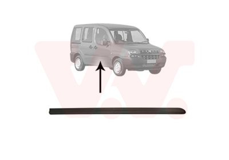VAN WEZEL Trim/Protective Strip, door