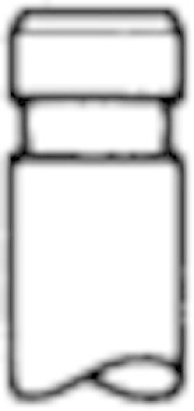 TRW Engine Component Intake Valve