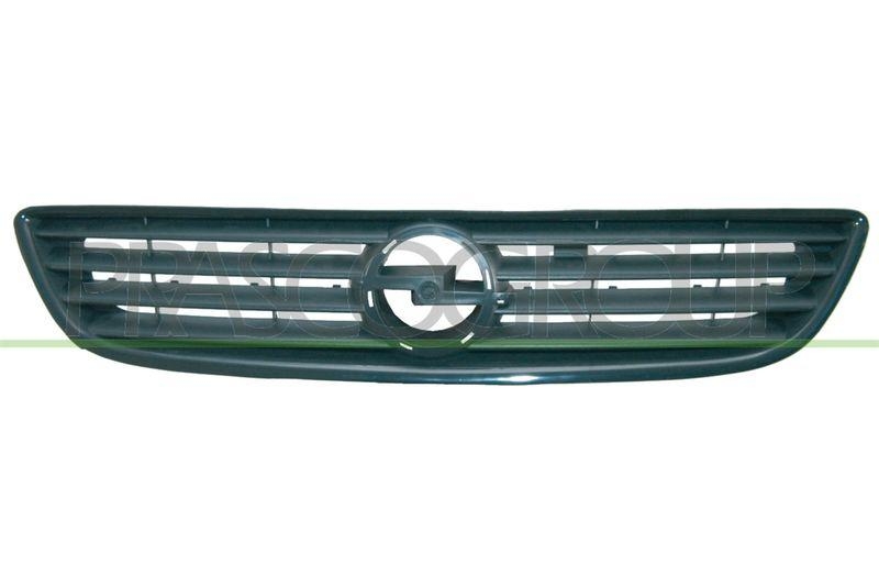 Radiator Grille