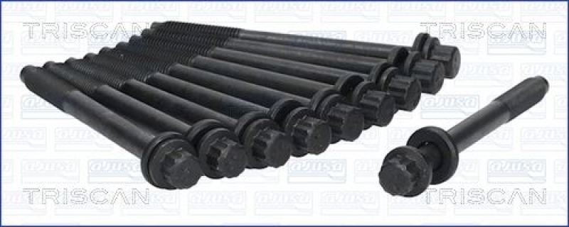 TRISCAN Cylinder Head Bolt Set