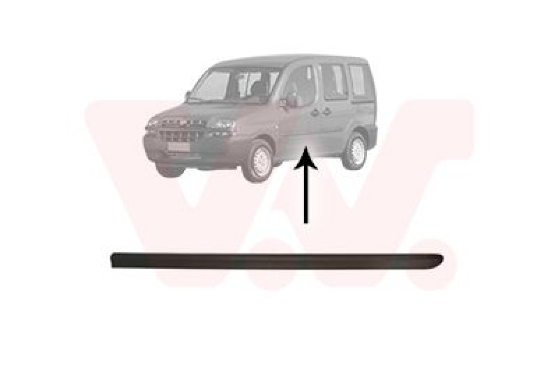 VAN WEZEL Trim/Protective Strip, door