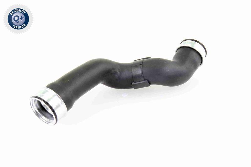 VAICO Ladeluftschlauch Q+, Erstausrüsterqualität V30-1781