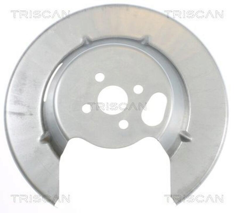 TRISCAN Splash Panel, brake disc