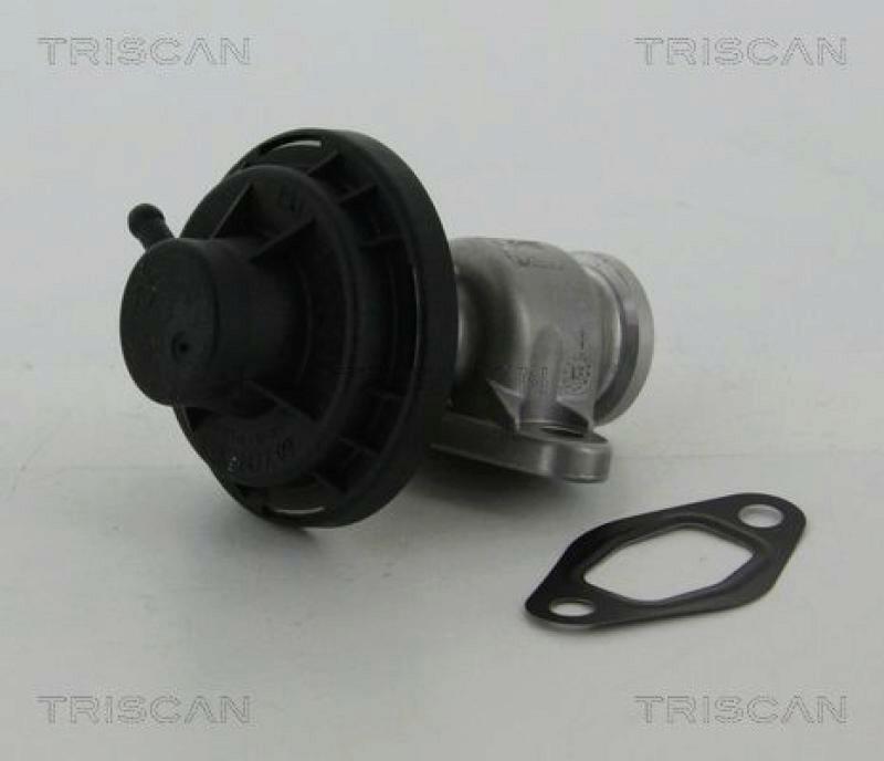 TRISCAN AGR-Ventil 8813 29307