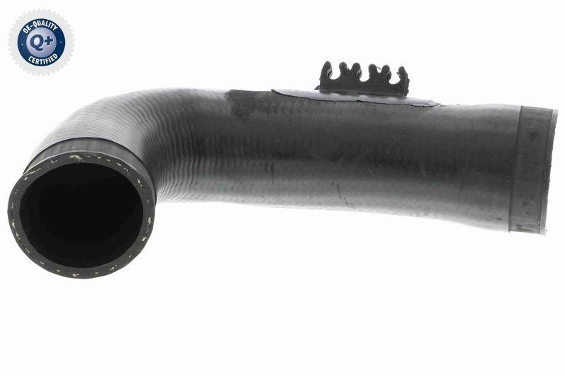 VAICO Charger Air Hose Q+, original equipment manufacturer quality