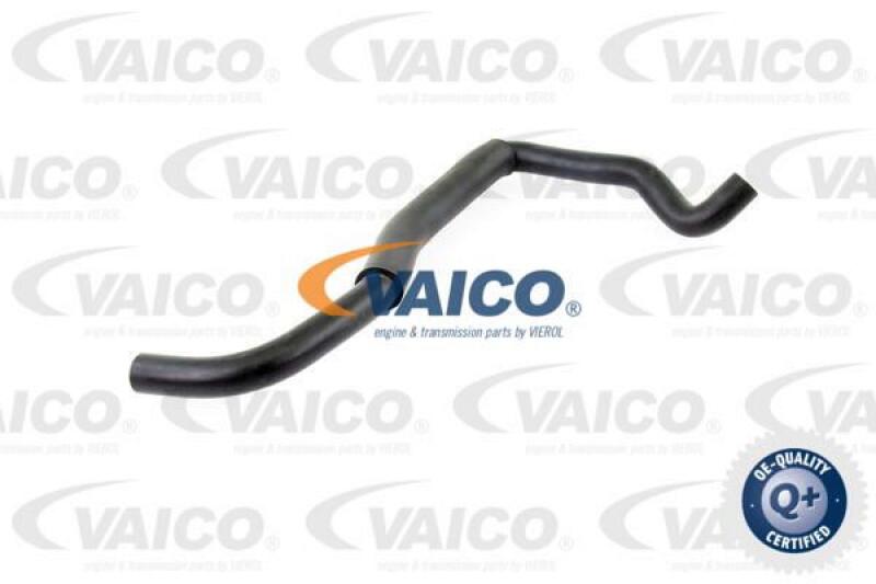 VAICO Charger Air Hose Q+, original equipment manufacturer quality