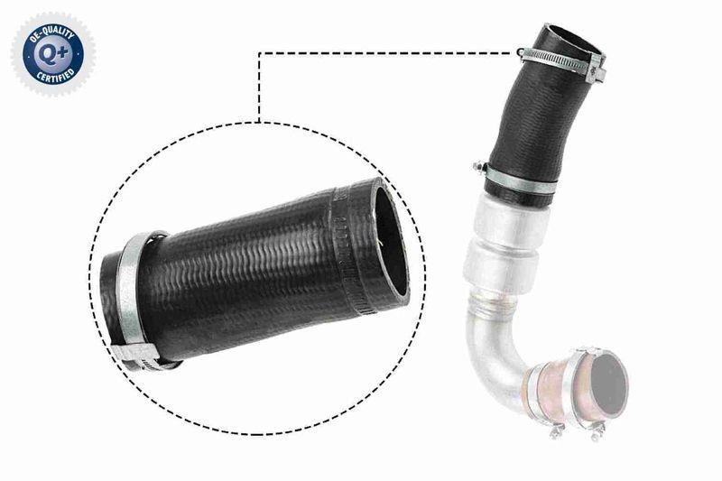 VAICO Charger Air Hose Q+, original equipment manufacturer quality