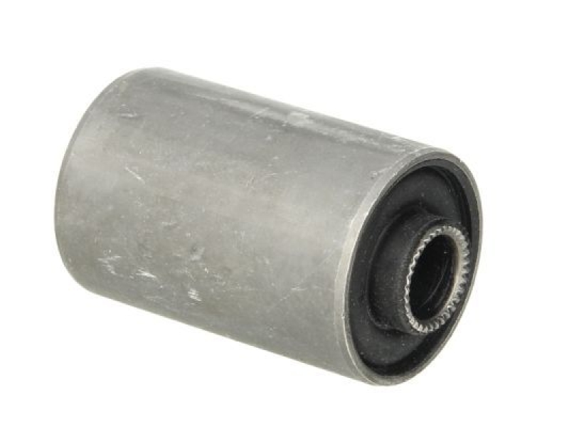 TEDGUM Mounting, leaf spring
