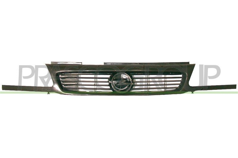 Radiator Grille