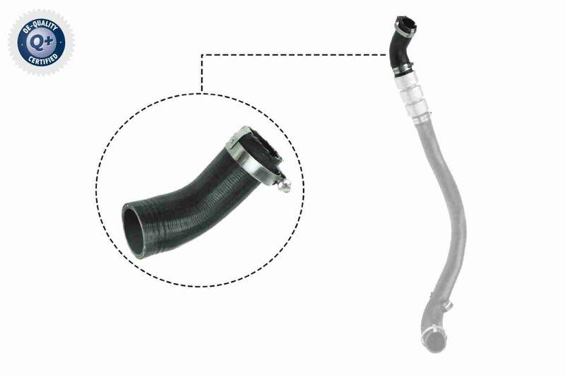 VAICO Ladeluftschlauch Q+, Erstausr&uuml;sterqualit&auml;t V25-1037
