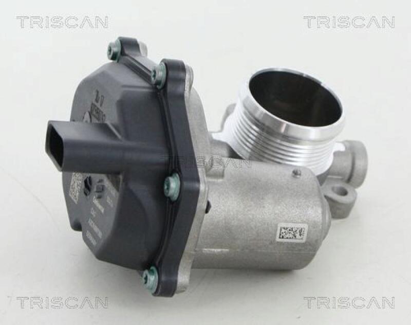 TRISCAN EGR Valve