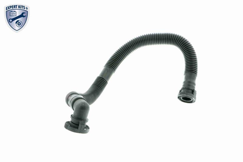 VAICO Hose, crankcase breather Original VAICO Quality