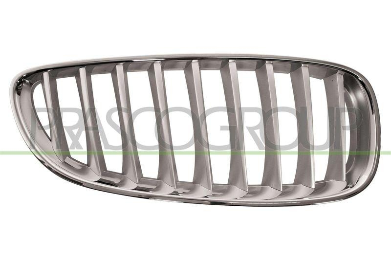 Radiator Grille