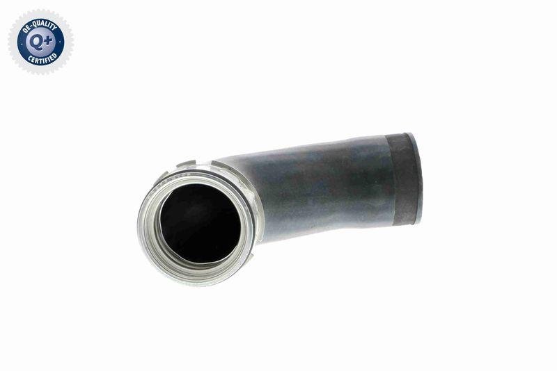 VAICO Charger Air Hose Q+, original equipment manufacturer quality