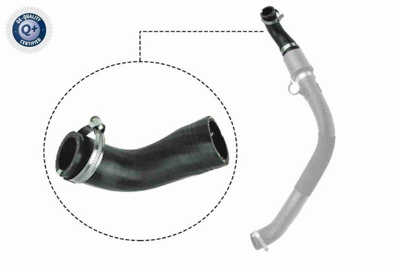 VAICO Charger Air Hose Q+, original equipment manufacturer quality