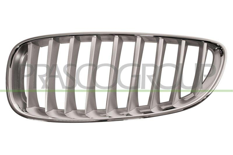 Radiator Grille