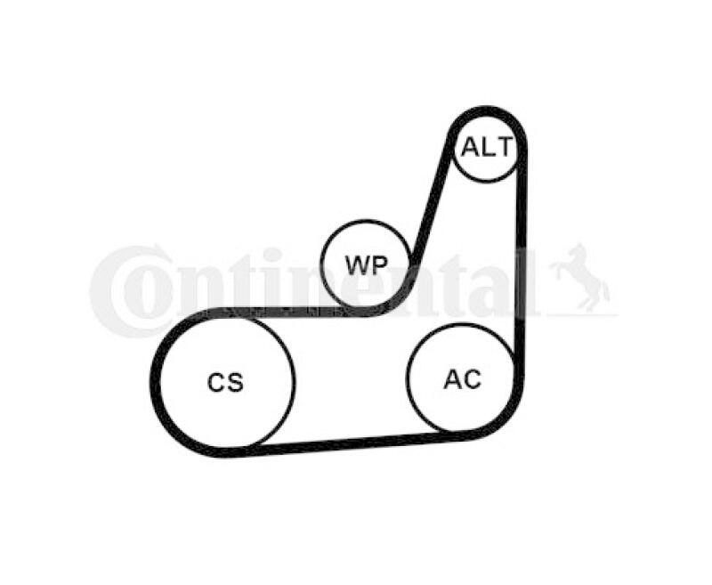 CONTINENTAL CTAM Keilrippenriemensatz