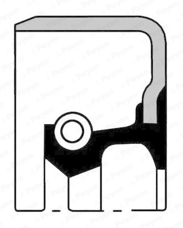 PAYEN Wellendichtring, Differential