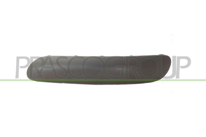 Trim/Protective Strip, bumper Premium