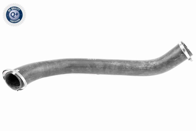 VAICO Charger Air Hose Q+, original equipment manufacturer quality