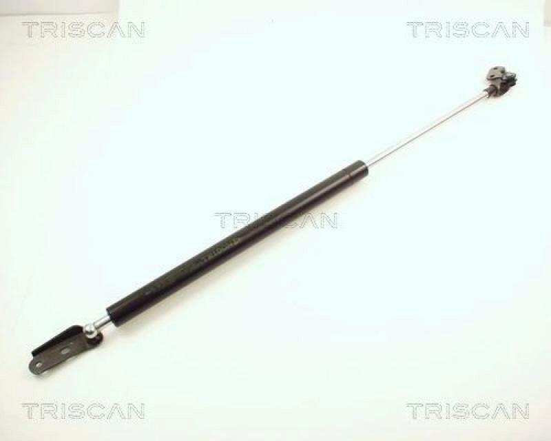 TRISCAN Gas Spring, boot-/cargo area