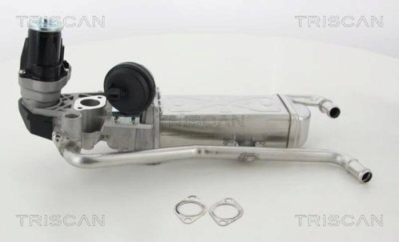 TRISCAN EGR Valve
