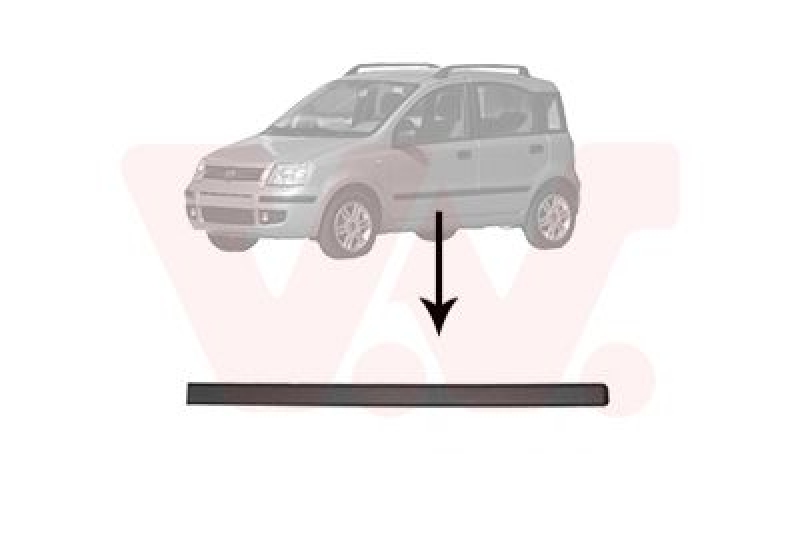 VAN WEZEL Trim/Protective Strip, door