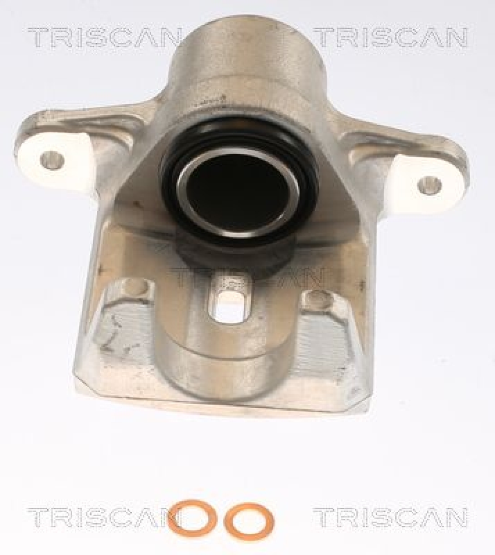 TRISCAN Bremssattel