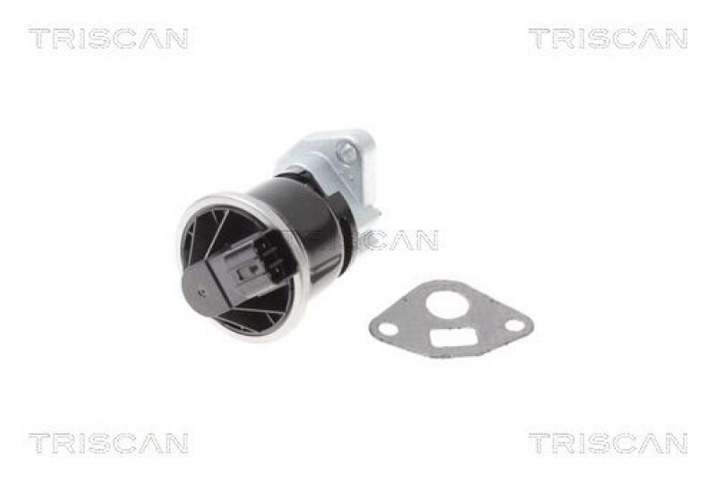 TRISCAN AGR-Ventil 8813 40013