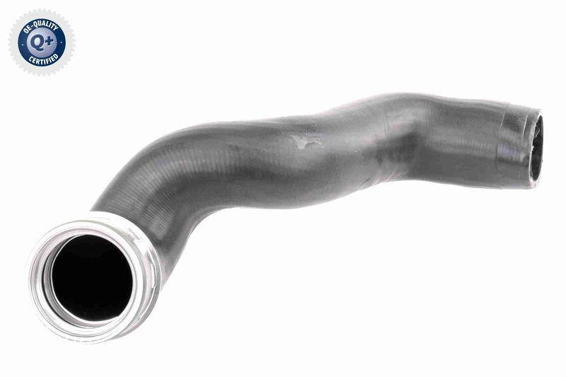 VAICO Ladeluftschlauch Q+, Erstausr&uuml;sterqualit&auml;t V10-3786