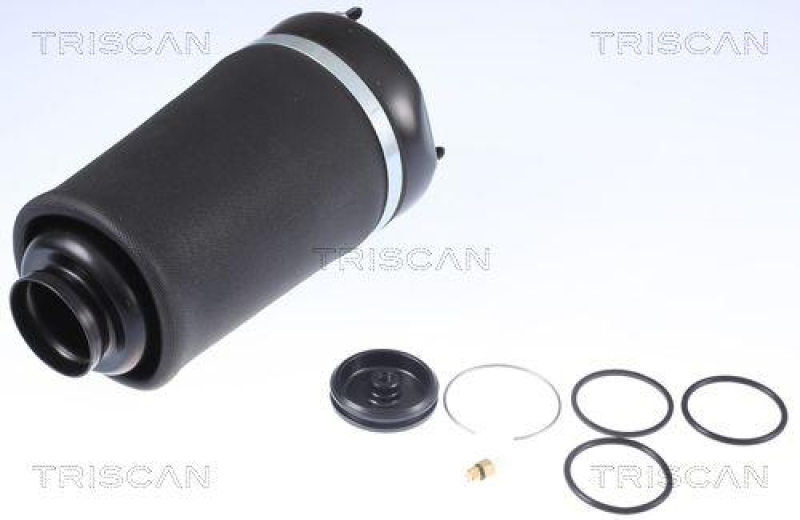 TRISCAN Air Spring, suspension