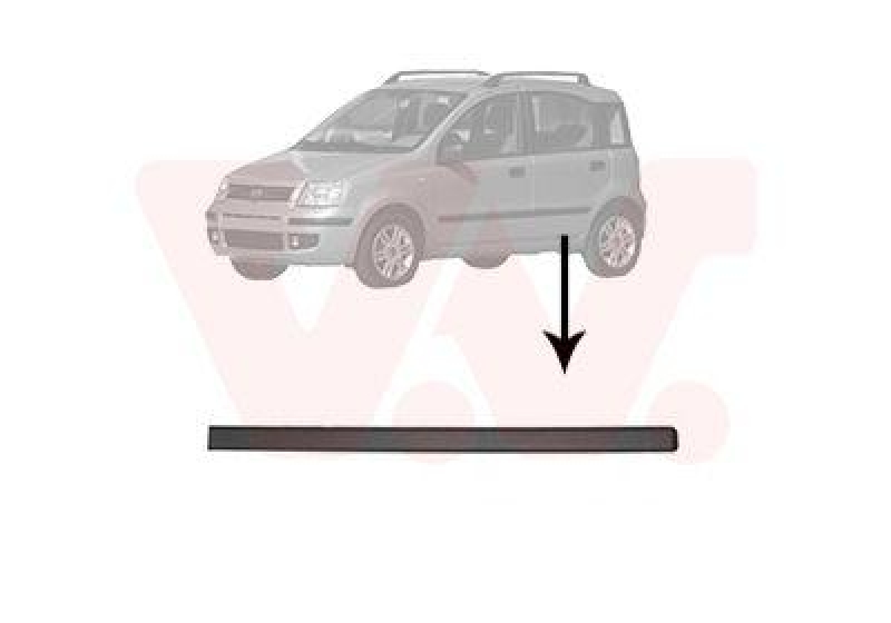VAN WEZEL Trim/Protective Strip, door
