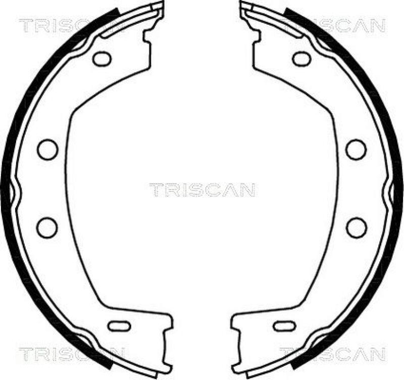 TRISCAN Brake Shoe Set, parking brake