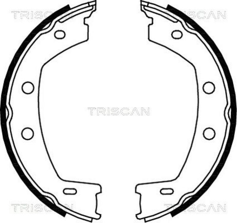 TRISCAN Brake Shoe Set, parking brake