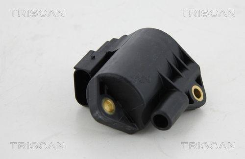 TRISCAN Ignition Coil