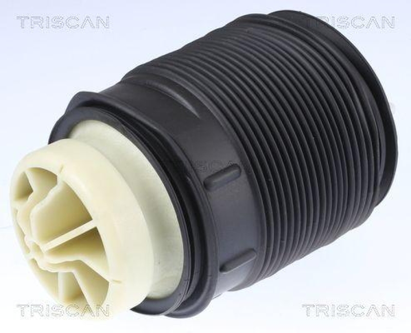 TRISCAN Air Spring, suspension