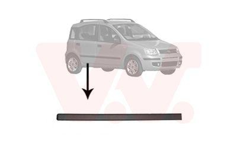 VAN WEZEL Trim/Protective Strip, door