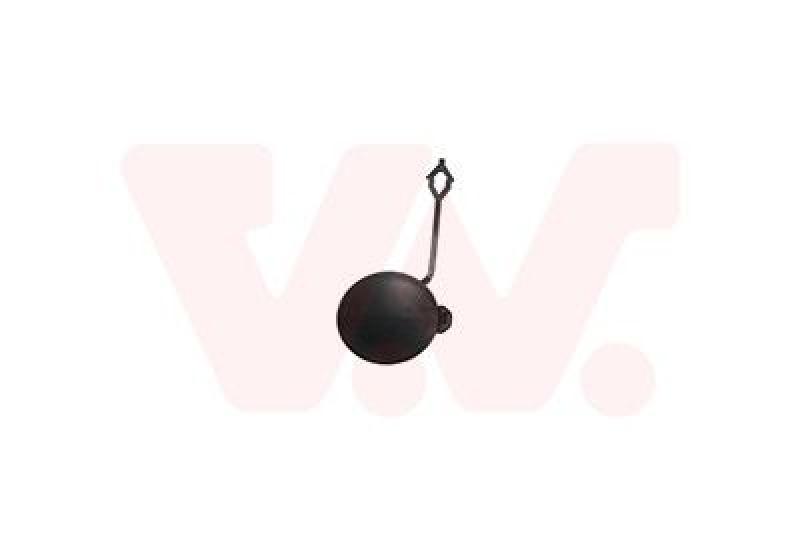 VAN WEZEL Klappe, Abschlepphaken 3805588