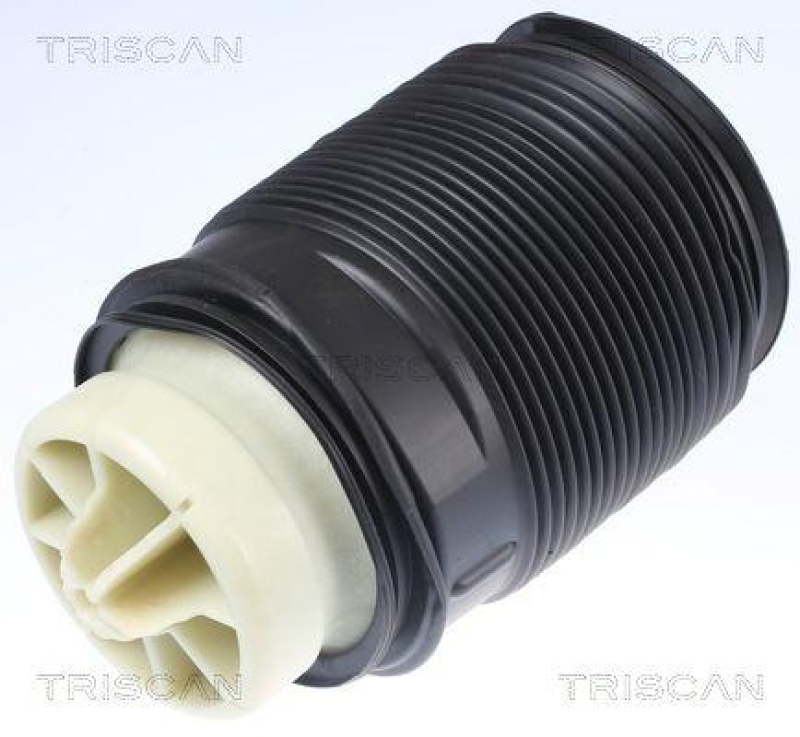 TRISCAN Air Spring, suspension