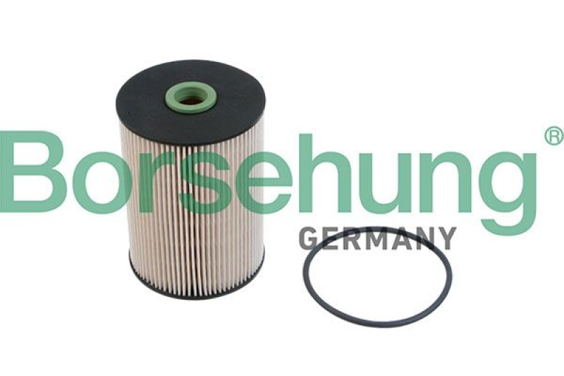 Borsehung Fuel Filter