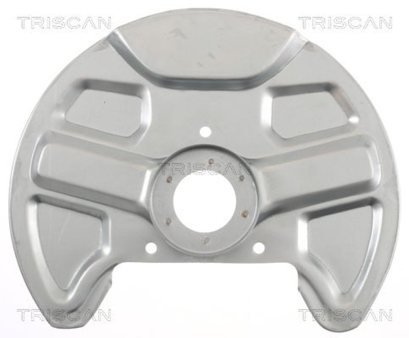 TRISCAN Splash Panel, brake disc