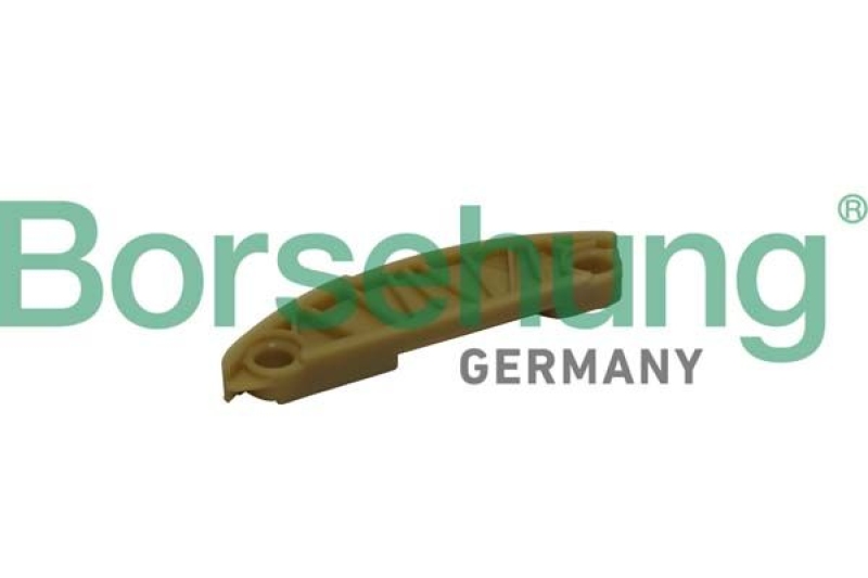 Borsehung Guides, timing chain