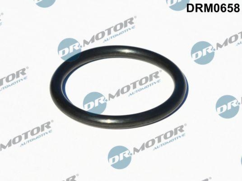 Dr.Motor Automotive Dichtung, Turbineneinlass (Lader)