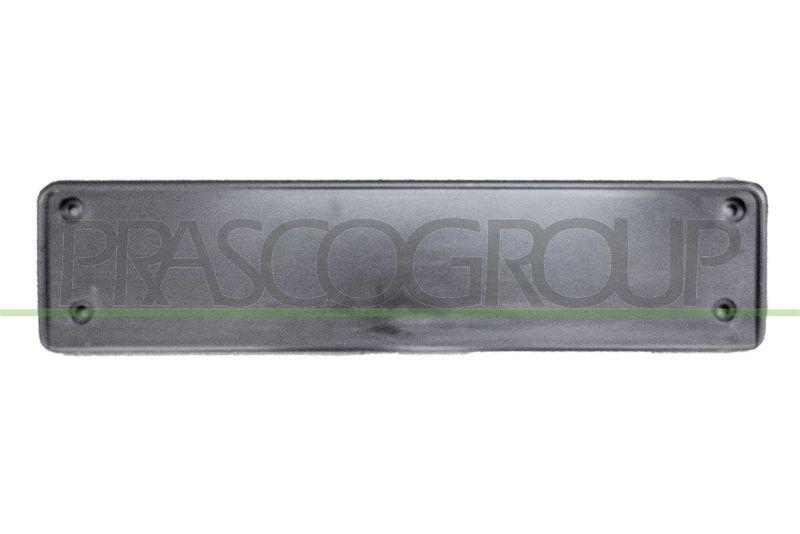Licence Plate Holder