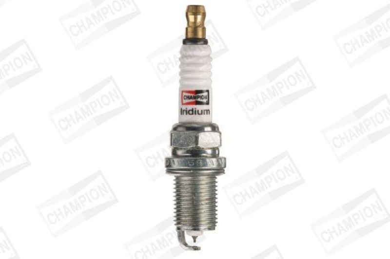 CHAMPION Spark Plug IRIDIUM